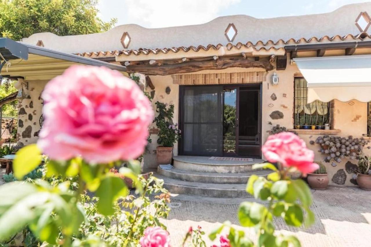 Villa Con Immenso Giardino Orosei Zewnętrze zdjęcie