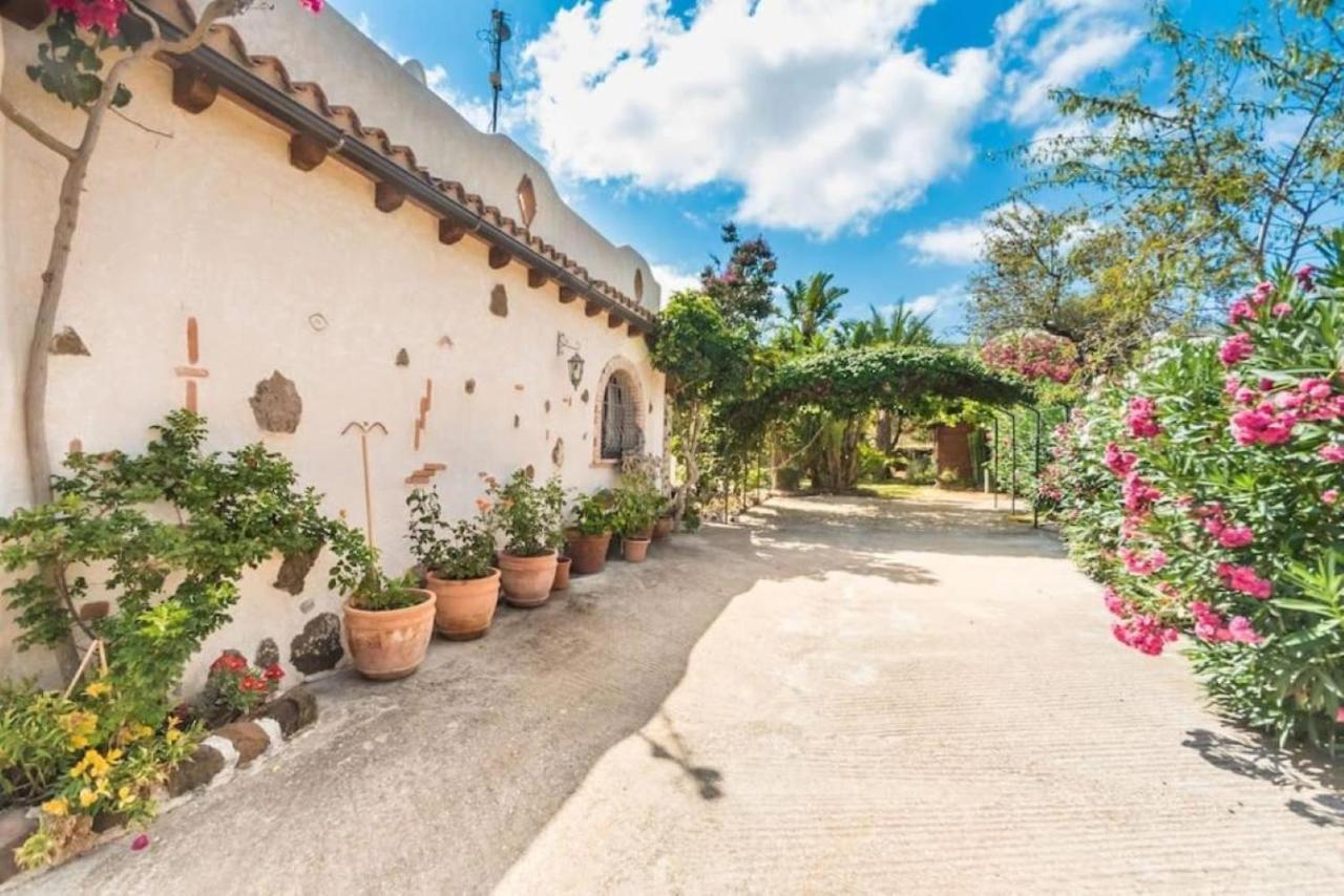 Villa Con Immenso Giardino Orosei Zewnętrze zdjęcie