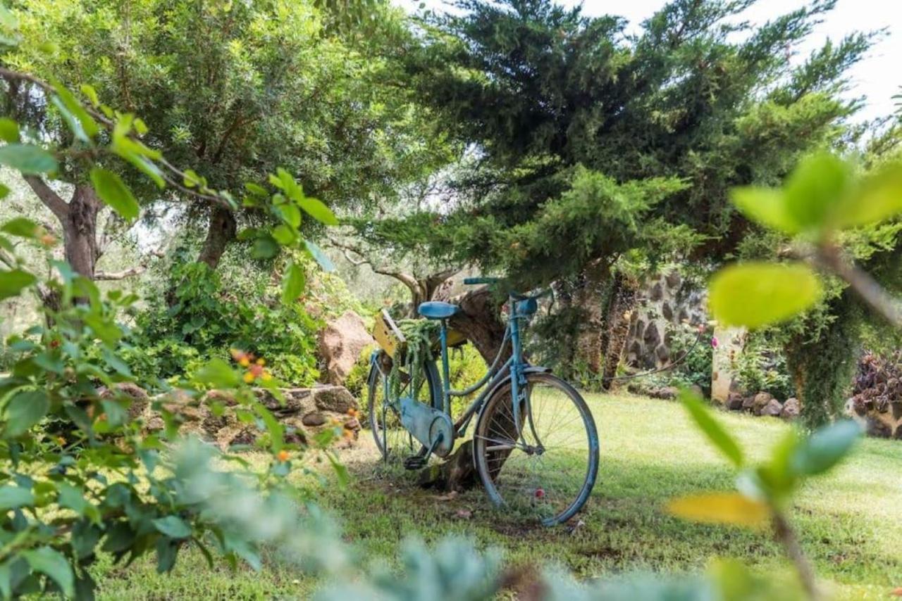 Villa Con Immenso Giardino Orosei Zewnętrze zdjęcie